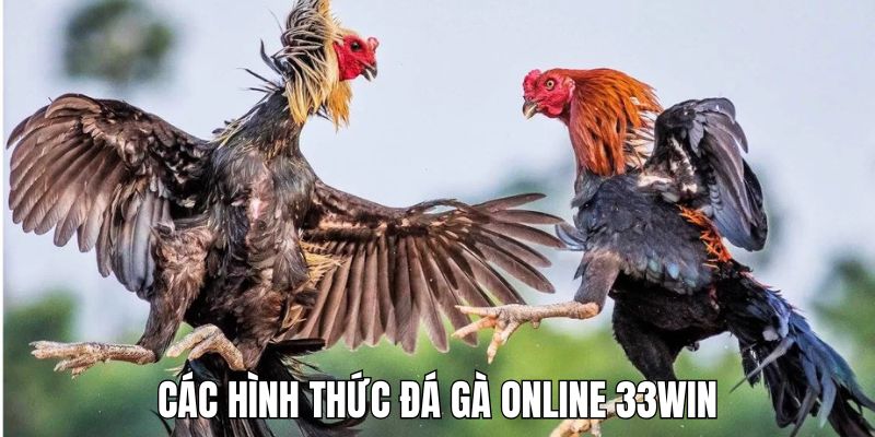 cac-hinh-thuc-da-ga-online-33win