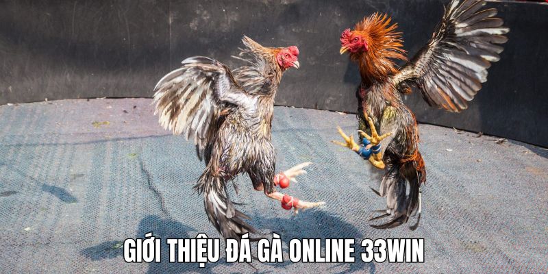 gioi-thieu-da-ga-online-33win